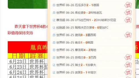 开云体育赞助 092002 5